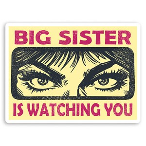 2 X 10cm Big Sister Watching You Vinyl Stickers Conspiracy Sticker 29093 Ebay