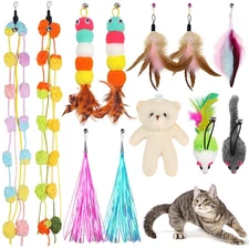 12 PCS Cat Feather Wand Replacement Toy Refills Attachments for Cat Toys