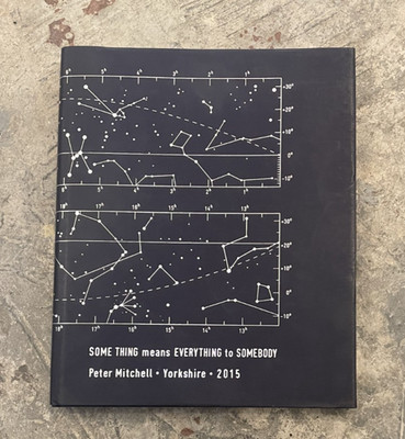 Some Thing Means Everything for Somebody by Peter Mitchell