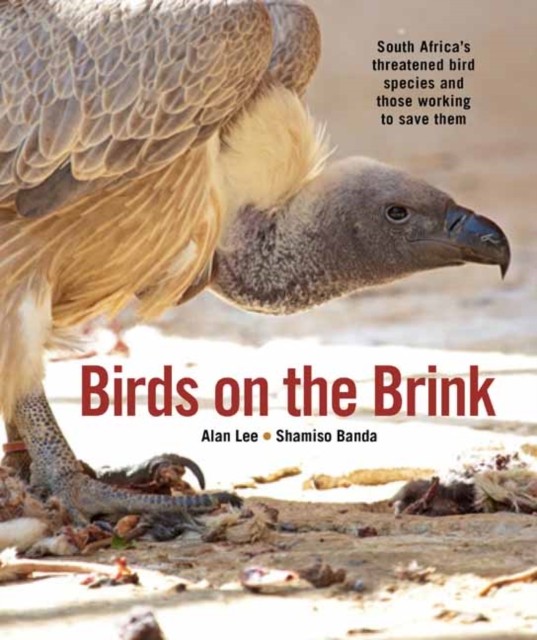 Birds on the Brink by Alan Lee (Paperback Book)