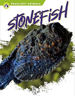 Stonefish by Golriz Golkar 9781637383230 NEW Free UK Delivery