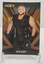 2017 Topps WWE NXT #2 Akam wrestling card BRONZE