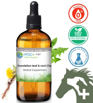 Dandelion Tincture For Cat, Dog Pet Liver, Digestive Support, Immune System