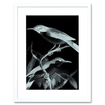 Vögel Illustration Nacht Kunstdruck gerahmtes Poster Wanddeko