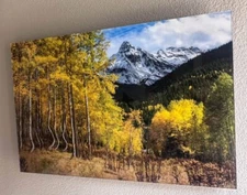 Gorgeous Photography "Ophir" Mountain, CO. Acrylic Framed Art Photography Signe