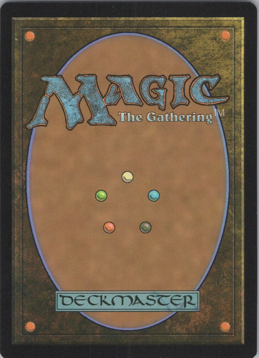 MTG (5) Full Art Basic Land Set - Pizza Lands - Teenage Mutant