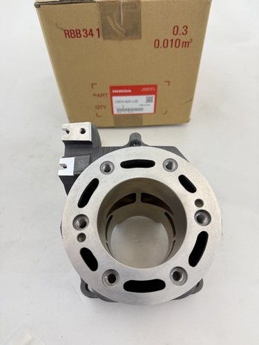 New Genuine Honda 2002-2004 Cylinder W/Exhaust Valve Installed OEM 12010-KZ3-L20