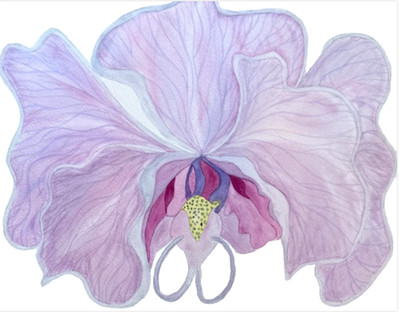 PAINTING WATERCOLOR 11X14 BLACK MAT 16X20 FLOWER ORCHID PINK LAVENDER PURPLE ART
