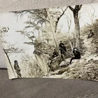 General Ulysses Grant Lookout Mountain Chattanooga US Civil War Phot