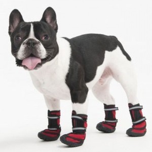 fleece dog boots