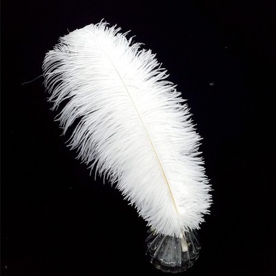 Happy Feather 16-18 inch White Ostrich Feathers Craft for Wedding Party cente...