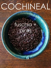 COCHINEAL - Natural Dye - Whole Insect - 20 grams - Free Shipping USA