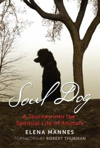 Soul Dog: A Journey Into the Spiritual Life of Animals by Elena Mannes: Used