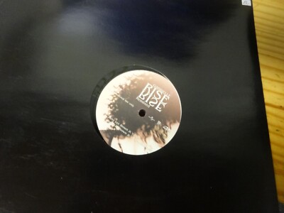 Maxi LP 12'' PROMO Gabrielle Rise Remixed