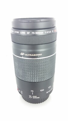 Canon Zoom Lens EF 75-300mm f/4-5.6 III USM Ultrasonic | eBay