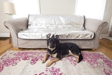 Pain-Free Pet Repeller Cat Dog Deterrent Mat, Non-Electric Pet Deterrent Mat