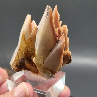  Video Top Kabinettstufe Meisselspat Baryt 6x6x3,5cm Grube Clara Schwarzwald