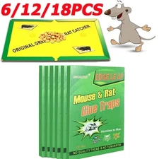6/12/18xLarge Mice Mouse Glue Traps Rodent Catcher Rat Board Indoor Super Sticky