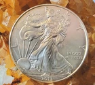 2012 American Silver Eagle $1 Dollar 1 Oz ,Ungraded Coin From US Mint Tube.