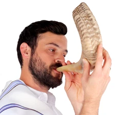 Shofar 14"-16" From Israel KOSHER ODORLESS Ram Horn Shofar with Anti Odor Spray