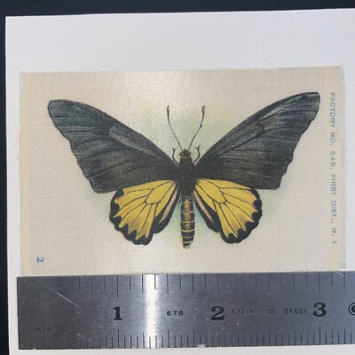 Butterfly Dark Green Yellow Wings #2 Tobacco Silks 1910 Tokio Cigarettes  0013.a