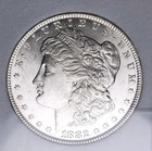 1882-P Morgan Silver Dollar MS66  Incredible Blast White
