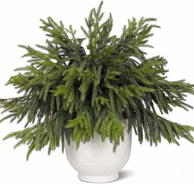 CCPanda 20 Pcs Christmas Artificial Norfolk Pine Branches 18'' Real Touch