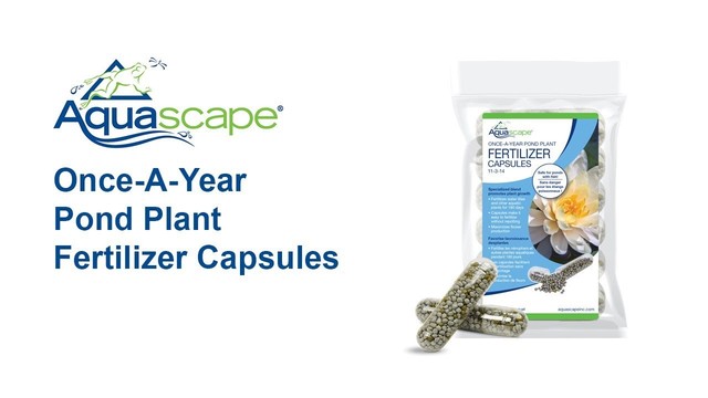 Aquascape Once-A-Year Pond Plant Fertilizer Tablets