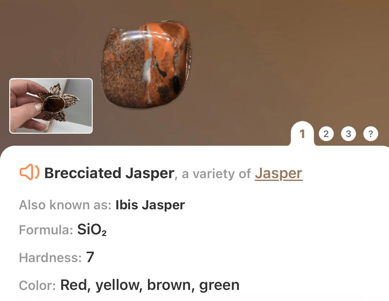 Stunning vintage statement brooch Brecciated Jasp… - image 9