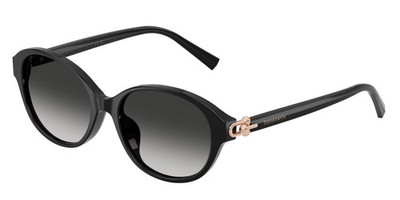TIFFANY TF4263D 80013C Black Grey Gradient 54 mm Women's Sunglasses