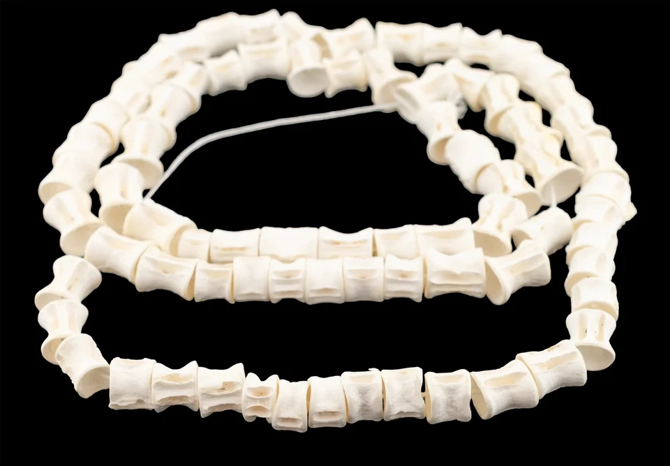 Elongated Fish Bone Beads 12-16mm West Africa African White Cylinder Handmade - Image 3 of 4