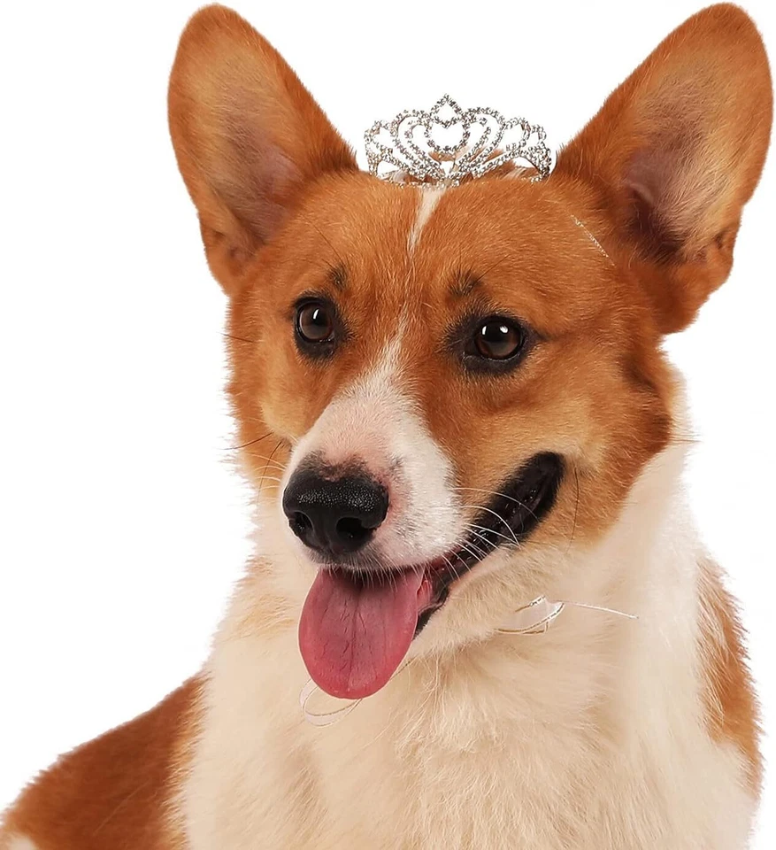 Tiara corona clásica de petalos con estrás perro/gato serie mascota para disfraz mini perro tiburón Foto 2 de 4