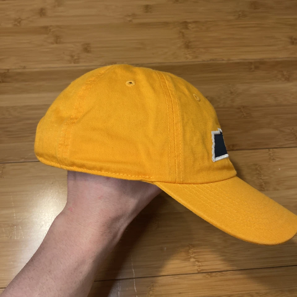 TOTW Nashville Predators NP Mapa Estatal Logo Tenn Oro Correa Gorra Sombrero NHL USADO EN EXCELENTE ESTADO Foto 3 de 4