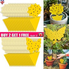 UK Sticky Fruit Fly Trap Fungus Gnat Killer Trap Protect Kitchen Indoor Outdoor