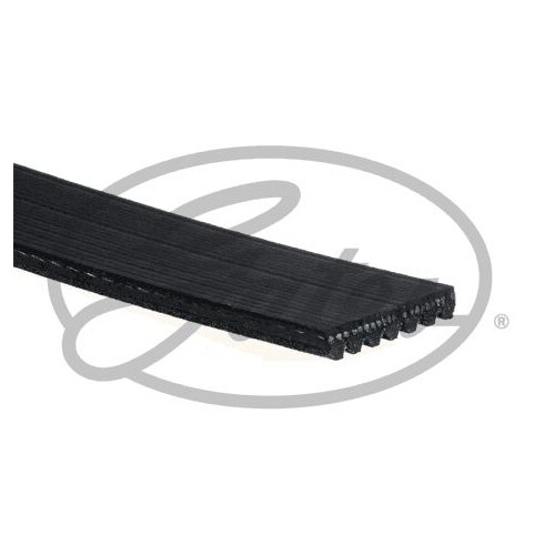 Cinghia Trapezoidale Gates AVX10x1625HD - Ricambio Alta Qualità Per Trasmissioni - 14