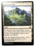 Evolving Wilds 186/196 Rivals of Ixalan MTG Magic the Gathering NEAR MINT NM