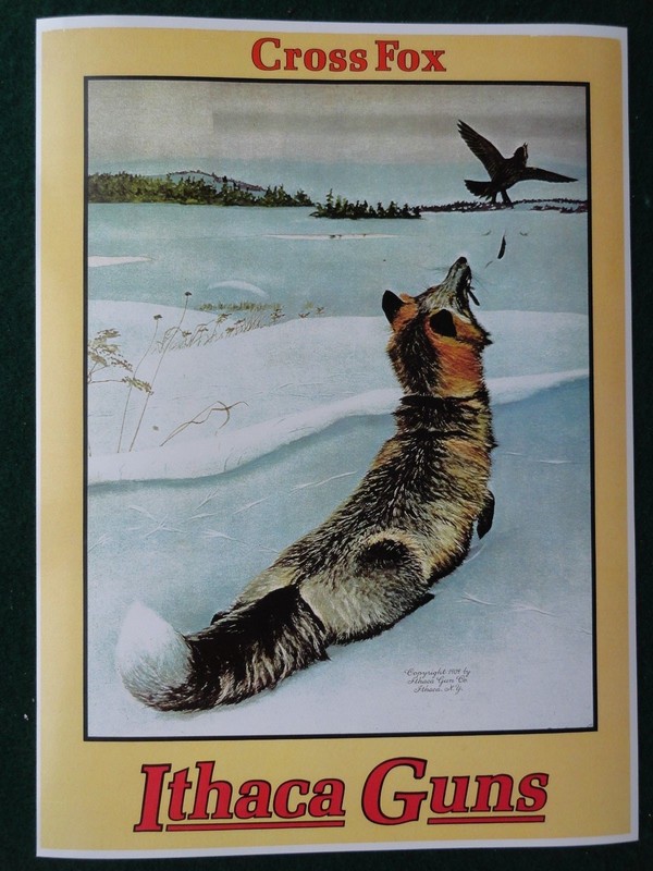 Ithaca Gun Company Advertising Poster 1909 Cross Fox