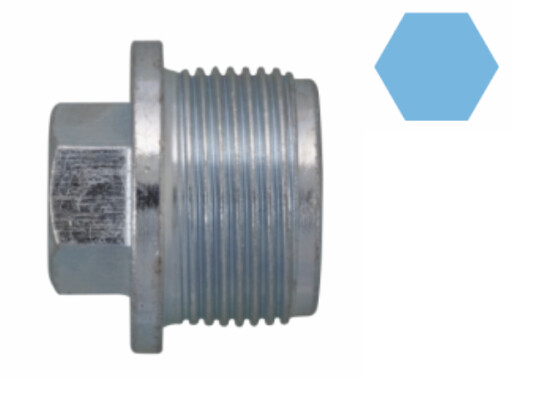 CORTECO 220152S Sealing Plug, oil sump for AUDI,SEAT,VW