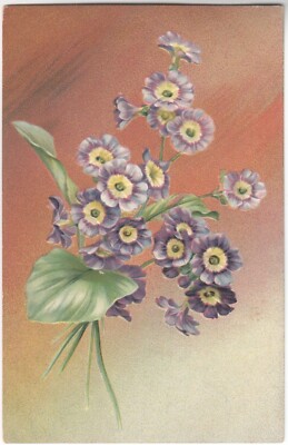 1911 Tuck's - Floral Favors series 126 - Primrose Polyanthus - PMed Bear Lake PA
