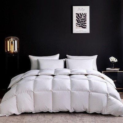 Goose Feather Down Comforter/Topper/Cover (King Size)