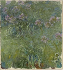 Claude Monet - Agapanthus, A2 Poster
