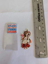 Hot Ribbon Girl B Side Label Sticker - UV/Water resistant