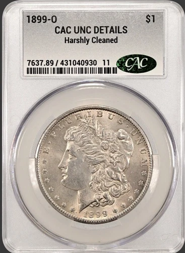 1899 O  MORGAN "CAC UNC, DETAILS "🔥 LUSTER/BREAST FEATHERS, HAIR💥✅