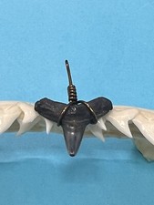 SHARK TOOTH PENDANT…5/8 Inch Fossilized BLACK TIP Shark Tooth 