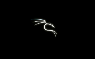 Kali Linux Everything custom install - bootable Network Penetration Testing SSD