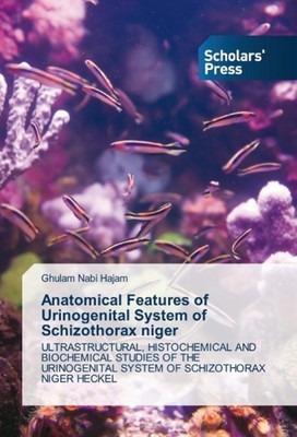 Anatomical Features of Urinogenital System of Schizothorax niger Hajam Buch 2014