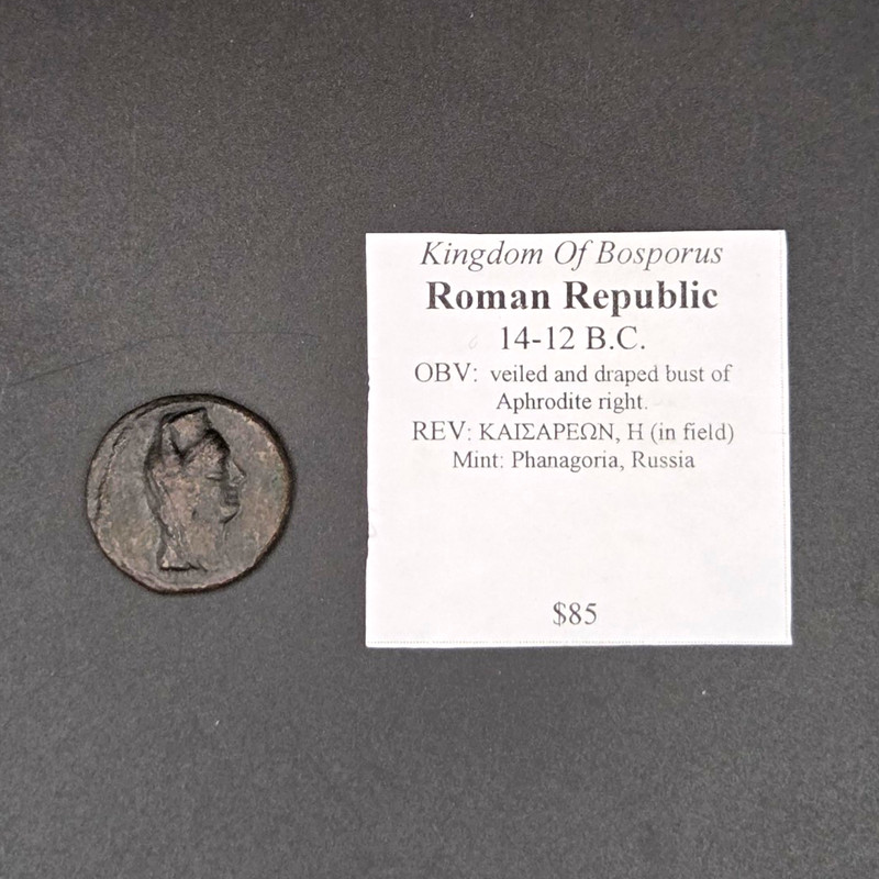 Kingdom of Bosporus Roman Republic Bronze Coin 14-12 B.C. Uncleaned