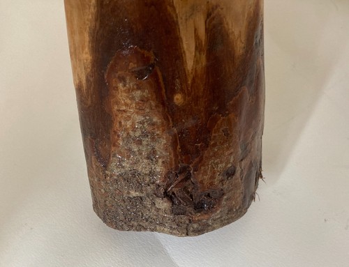 DIDGERIDOO GRADO B EX DISPLAY Hecho a Mano - Madera Dura de Alta Calidad Pintada en Teca - Imagen 14 de 51