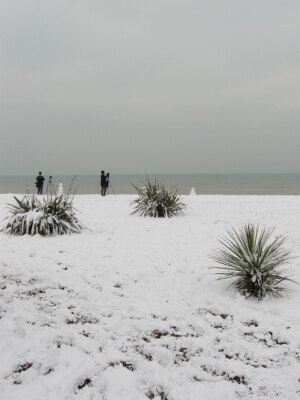 Foto 6x4 Brighton Beach Hove fasst wirklich den späten Morgen am Strand zusammen c2009