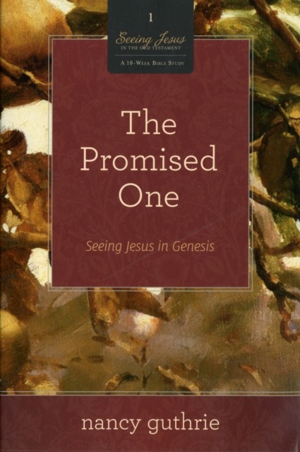 Promised One The (Seeing Jesus in the Old Testament) By Guthrie Nancy - Image 6